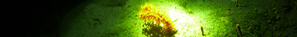 Develop your knowledge and skills