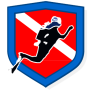 Diver safety logo